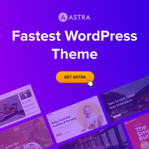 Fastest WordPress Theme